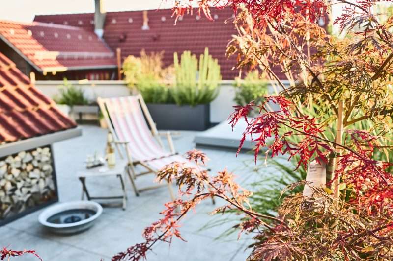 Dachgarten_Dachterrasse_13
